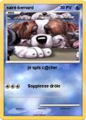 saint-bernard
