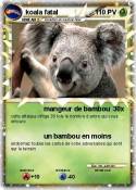 koala fatal