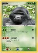 gorilla