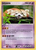 red panda