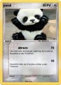 pandi