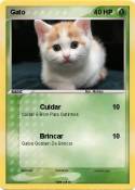 Gato