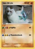 Gato DS Lite