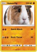 Guinea Pig
