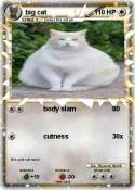 big cat