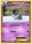 kitten