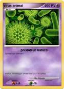virus animal
