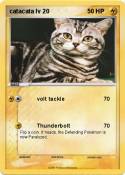 catacata lv