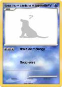 tosa inu +