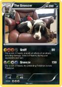The Snoozer