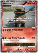 Ninja-Cat