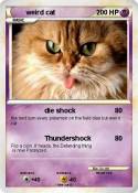 weird cat