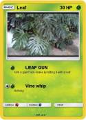 Leaf