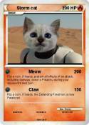 Storm cat