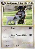 Dog Hugging A