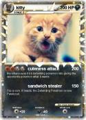 kitty