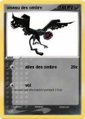 oiseau des