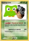 Duolingo bird