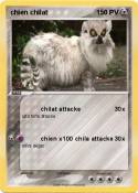 chien chilat