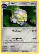 Lotus