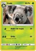 Koala