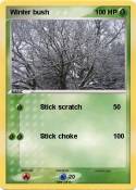 Winter bush