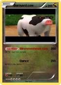 Barnyard cow