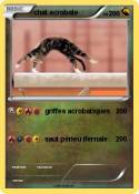 chat acrobate