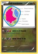 cell membrane
