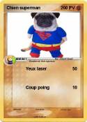Chien superman