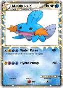 Mudkip Lv. X