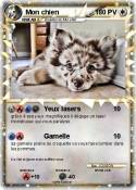 Mon chien