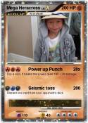 Mega Heracross