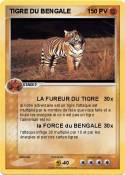 TIGRE DU