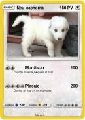 Neu cachorra