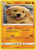Dog