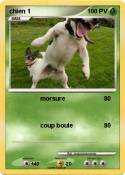chien 1
