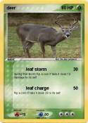 deer