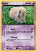 Bunny