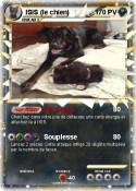 ISIS (le chien)