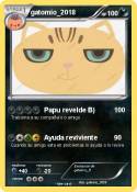 gatomio_2018