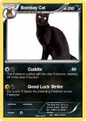 Bombay Cat