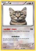 cat