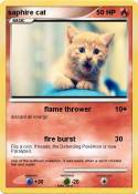saphire cat