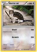 Warrior cat