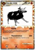 POLISH COW