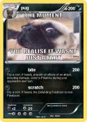 pug