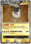 DOG OF THUNDER