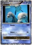 Dolphins