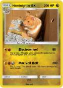 Haminighter